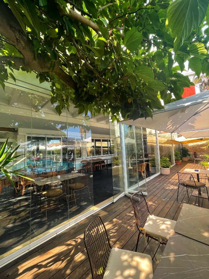 切利尼公园酒店 利多迪迪耶索洛 外观 照片